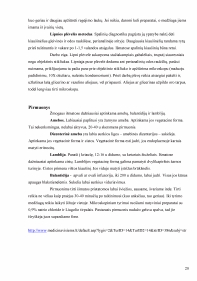 www.speros.lt